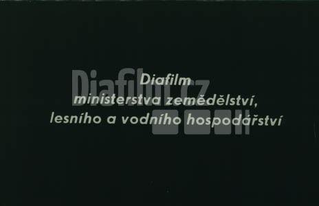 Budování zahrádkářských osad I.