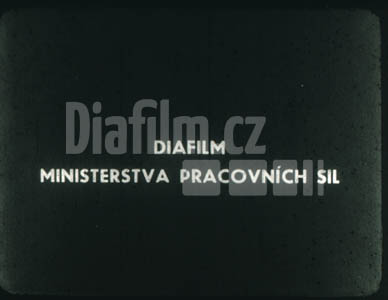 Ženy na předních místech naší výstavby