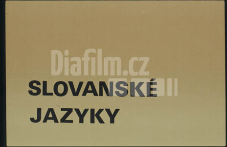 Slovanské jazyky