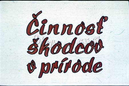 Činnost škůdců v přírodě