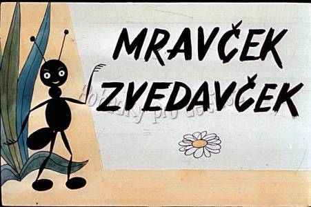 Zvědavý mraveneček