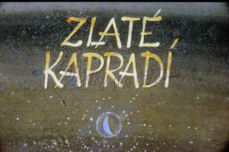 Zlaté kapradí