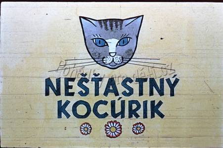 Nešťastný kocourek