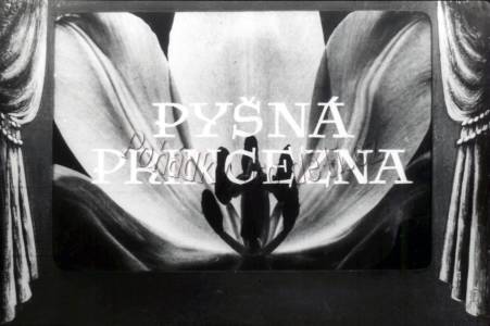 Pyšná princezna II. díl