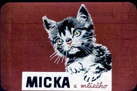 Kočka a mléko