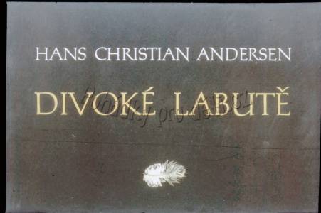 Divoké labutě
