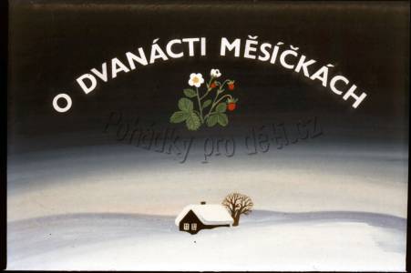 O dvanácti měsíčkách