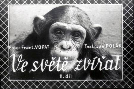 Ve světě zvířat II. díl