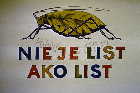 Není list jako list