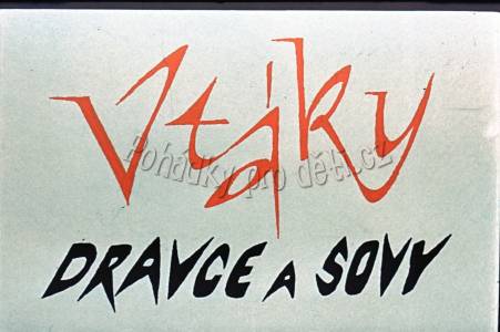 Ptáci, dravci a sovy