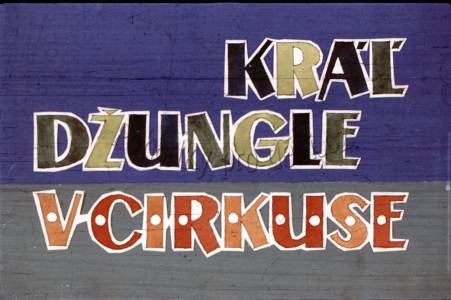 Král džungle v cirkuse