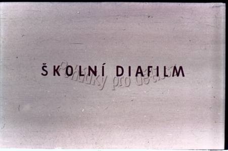 Vyletěla holubička