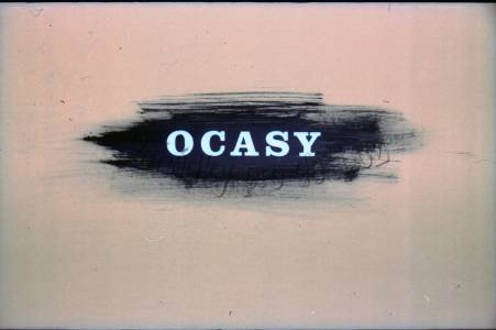 Ocasy