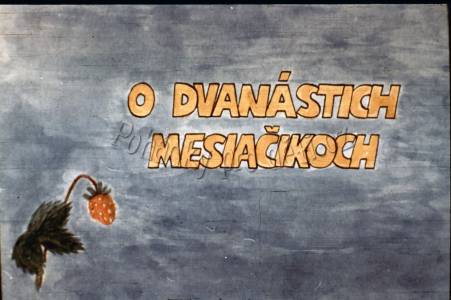 O dvanácti měsíčkách