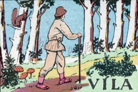 Víla