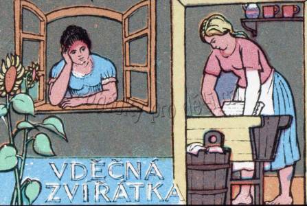 Vděčná zvířátka