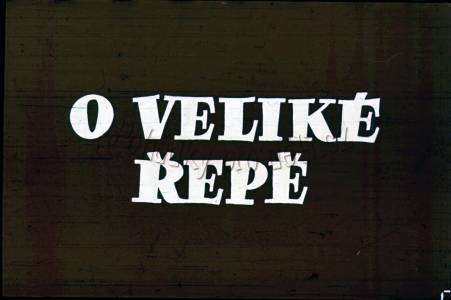 O veliké řepě
