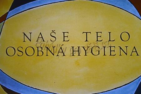 Naše telo osobná hygiena