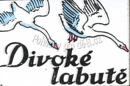 Divoké labutě