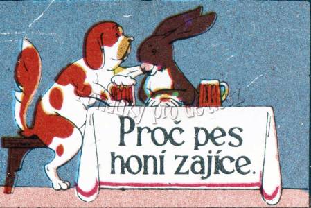 Proč pes honí zajíce