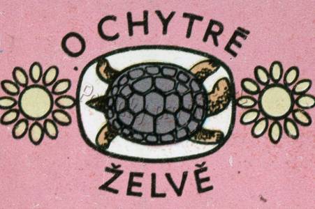 O chytré želvě