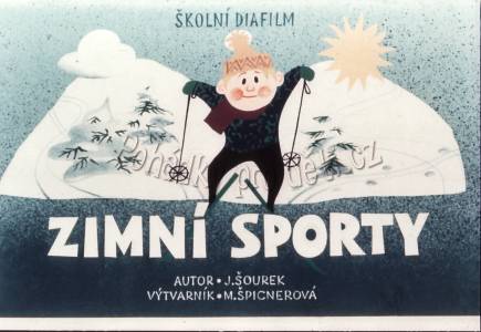 Zimní sporty