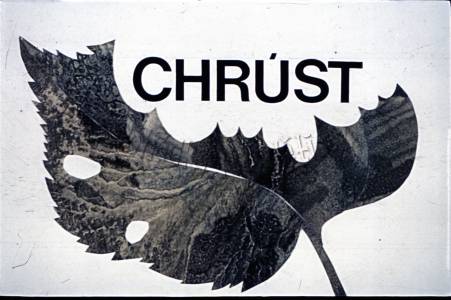 Chroust