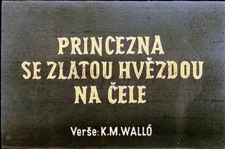 Princezna se zlatou hvězdou