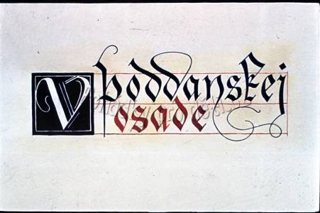 V poddanské vesnici