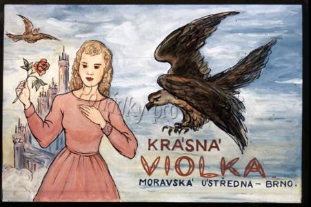 Krásná violka