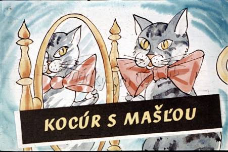 Kocour s mašlí
