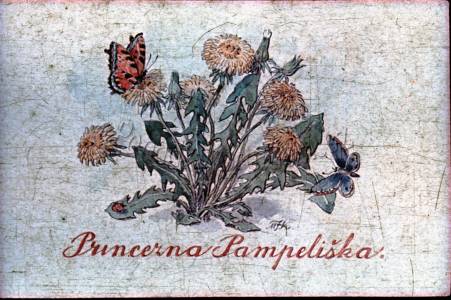 Princezna Pampeliška