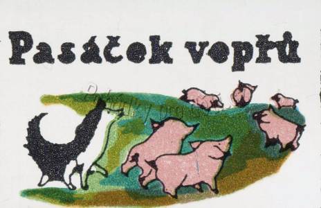 Pasáček vepřů