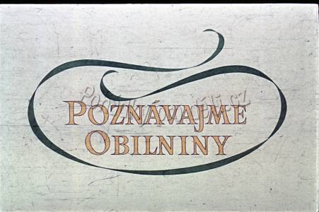 Poznávejme obilniny