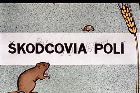 Škůdcové polí