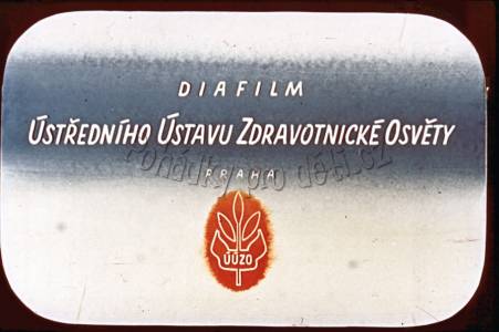 Jak pejska bolel zoubek