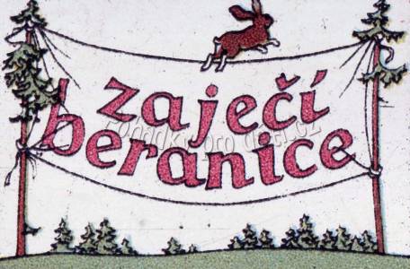 Zaječí beranice