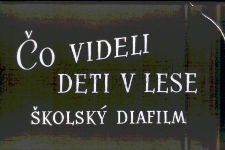 Co viděly děti v lese