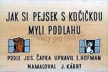 Ako si psíček s mačičkou umývali podlahu