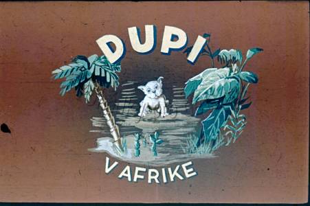 Dupi v Afrike