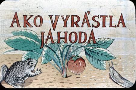 Ako vyrástla jahoda