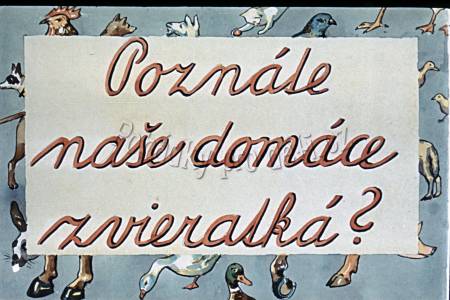 Poznáte naše domáce zvieratká?