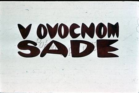 V ovocnom sade