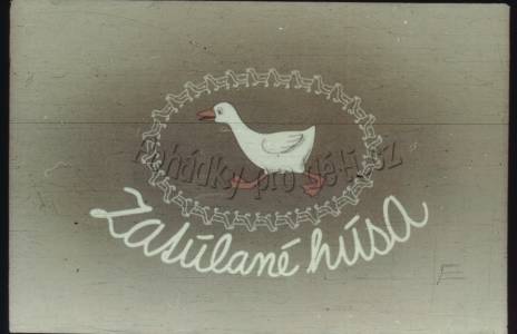Zatúlané húsa