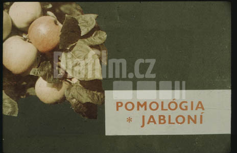 Pomologie jabloní