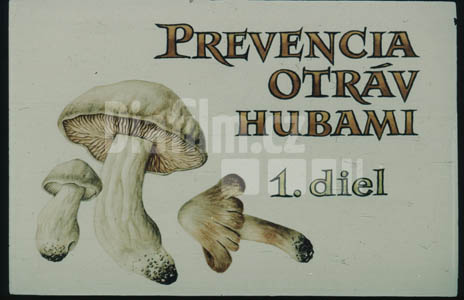 Prevence otrav houbami I.Díl