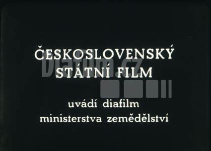 Strojní dojení