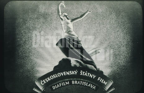 Chov ovcí