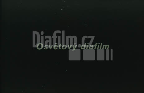 Svědectví o Jaroslavu Haškovi