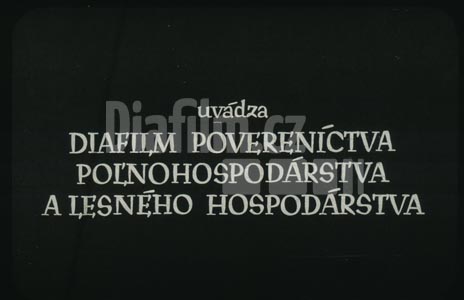 Vinohradnictví II.